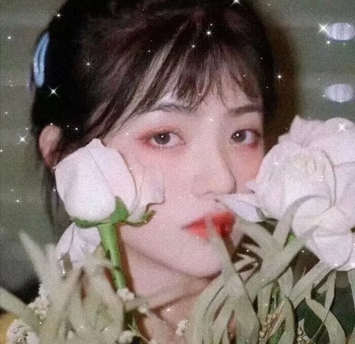 太阳花